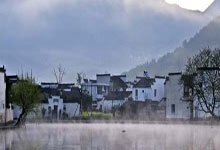 2029上海后花园论坛聚焦环保，共谋生态宜居之道